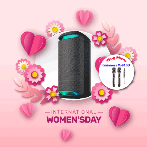 SRS-XV800 | Loa không dây công suất cao Sony