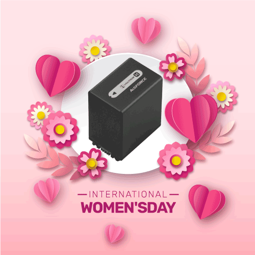 Pin Sony NP-FH100 – Pin Sạc Máy Quay Sony Chính Hãng